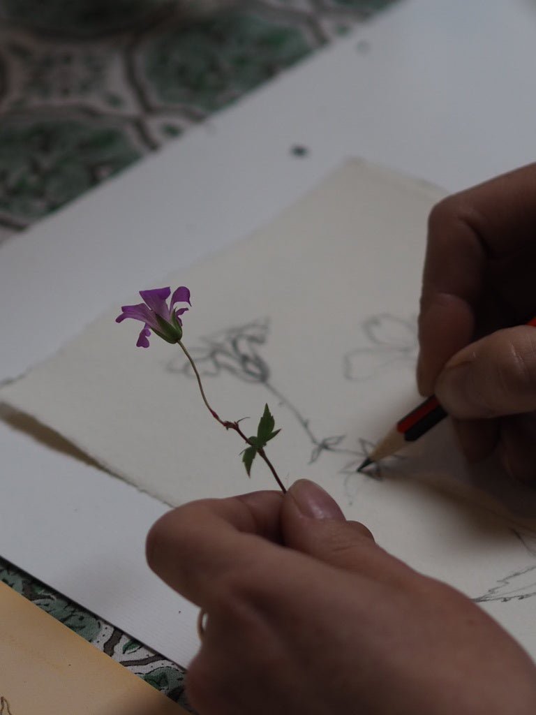 Drawing flowers with Lucy McElroy - Natalia Willmott
