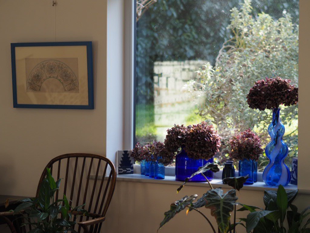 Design for a fan thistle by Hilda Clegg - Natalia Willmott