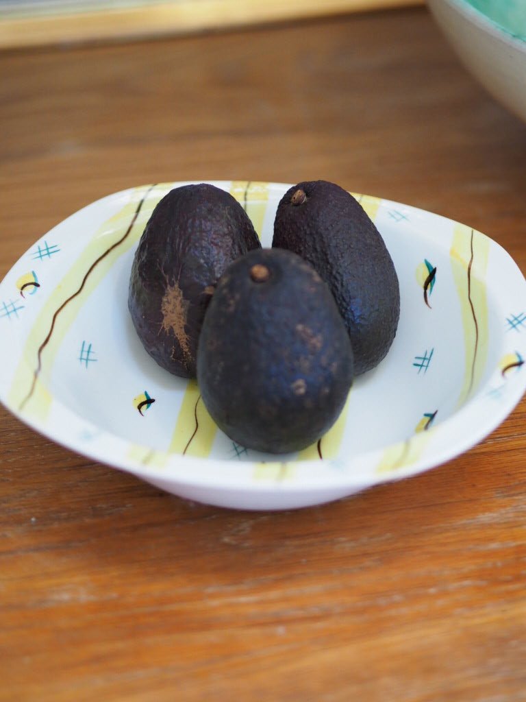 Fiesta Midwinter bowl - Natalia Willmott