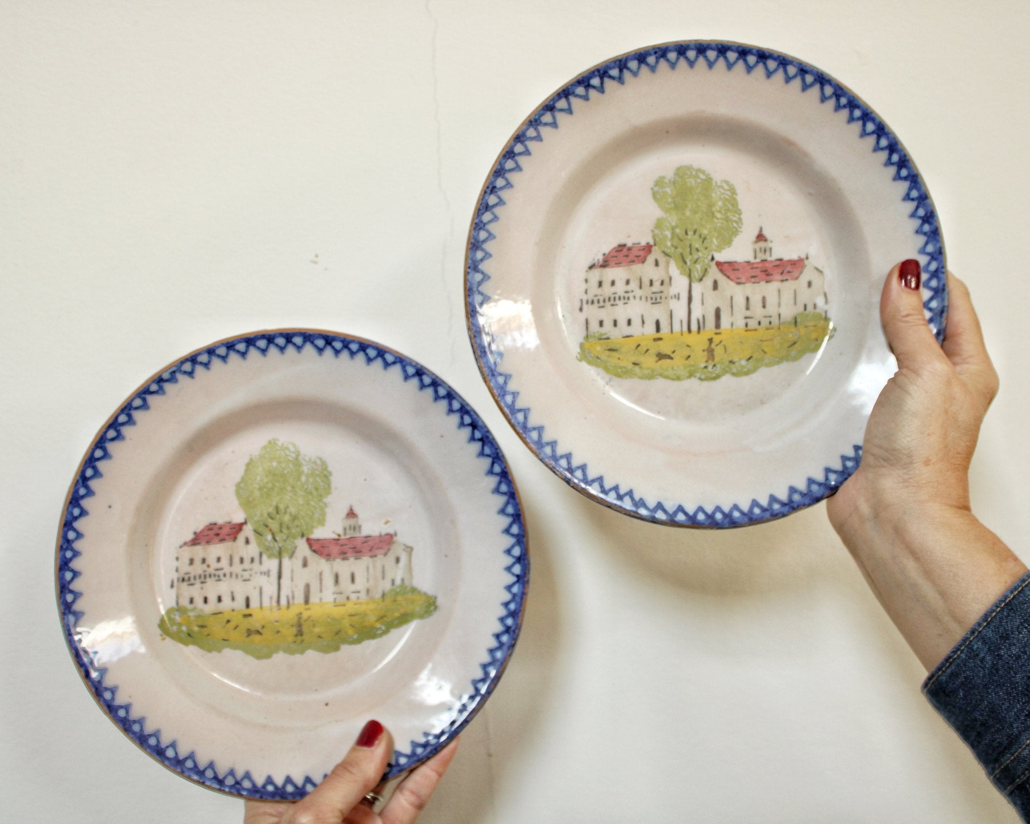 French faience Charolles plate - a walk in nature - Natalia Willmott