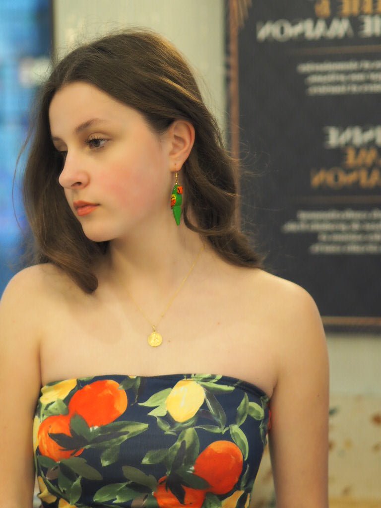Vintage colourful parrot earrings - Natalia Willmott