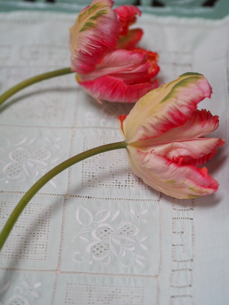 Vintage light green placemat - Natalia Willmott