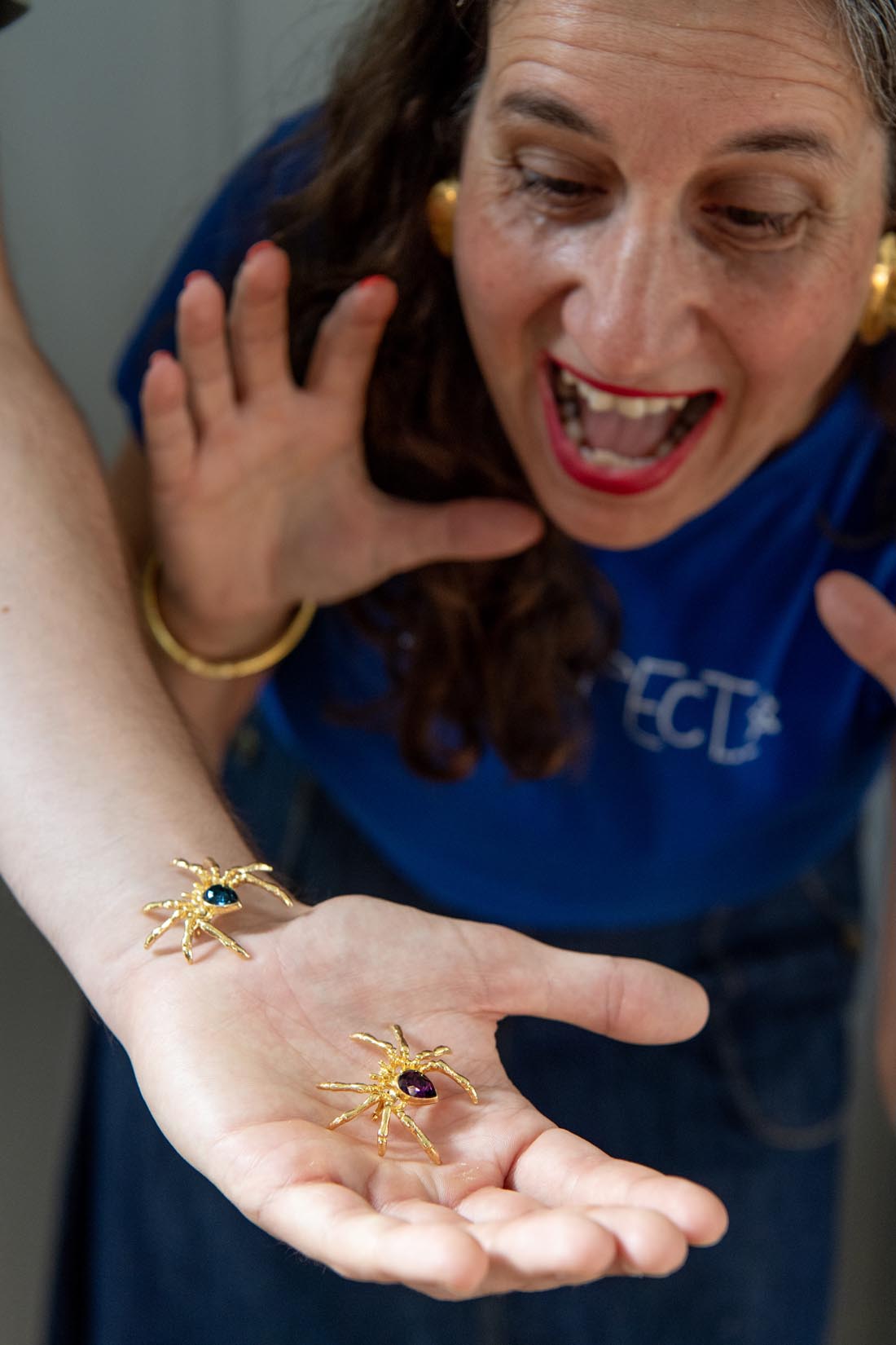 Vintage Swarovski spider brooch - Natalia Willmott