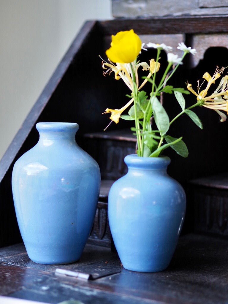 Antique polish Ronuk bottle - Natalia Willmott
