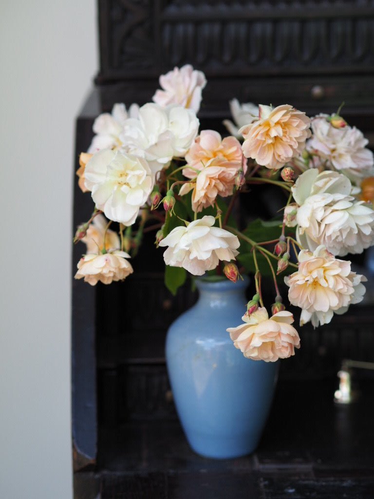 Antique polish Ronuk bottle - Natalia Willmott