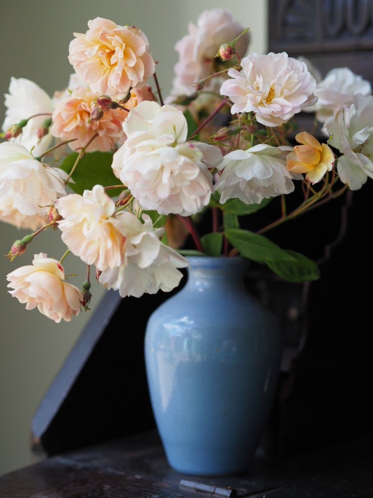 Antique polish Ronuk bottle - Natalia Willmott