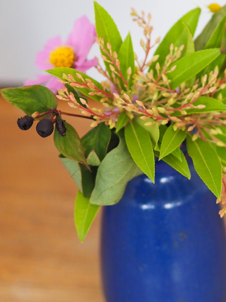 Antique polish Ronuk bottle - Natalia Willmott