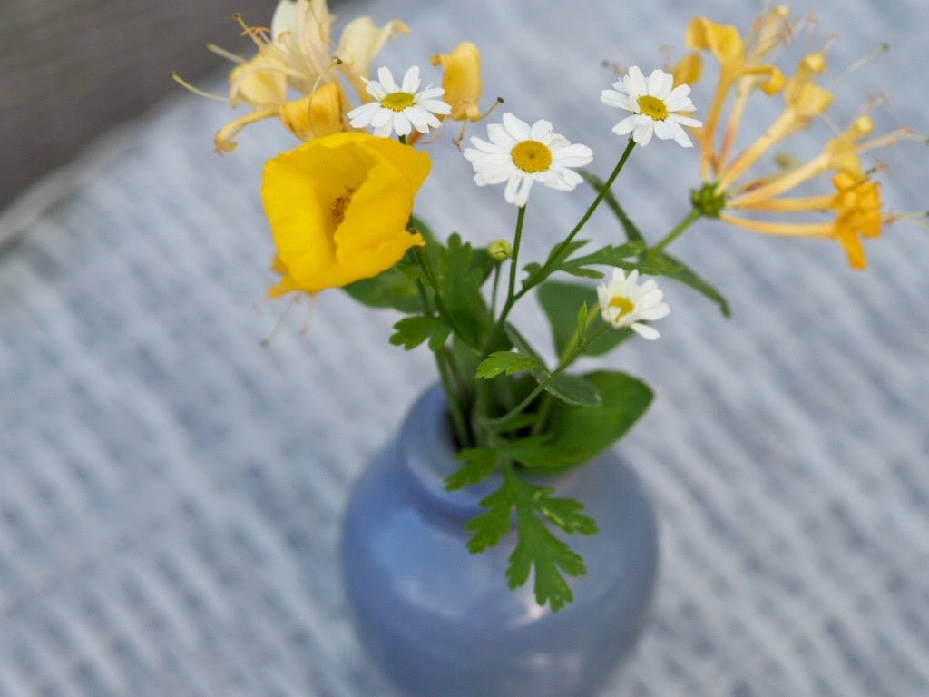Antique polish Ronuk bottle - Natalia Willmott