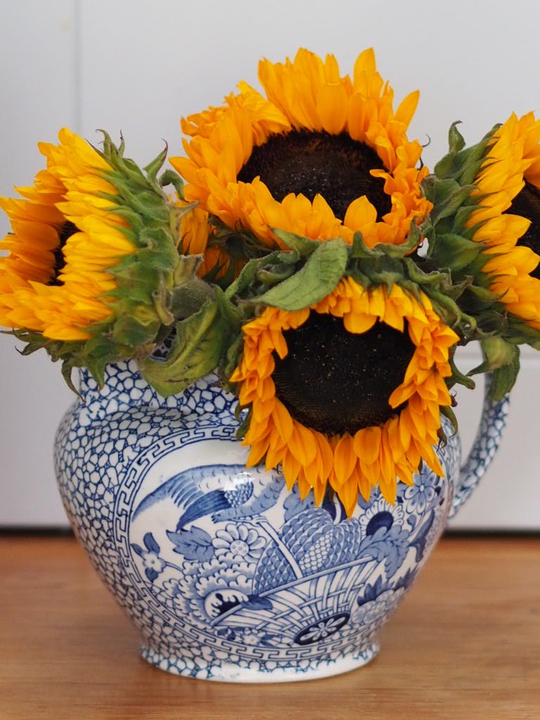 Antique Staffordshire Blue and White Adams custard jug - Natalia Willmott