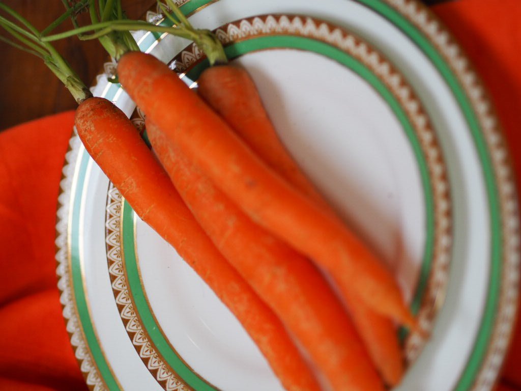 Aynsley mid century bone China - Natalia Willmott