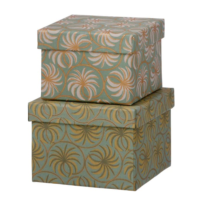 Box set palm - Natalia Willmott