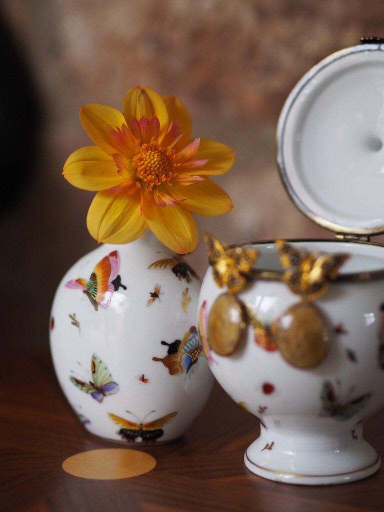 Butterfly porcelain trinket box - Natalia Willmott