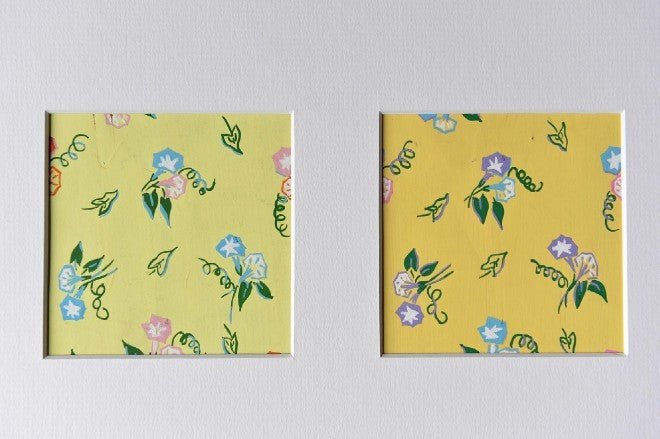 Convolvulus gouache in yellow textile design - Natalia Willmott