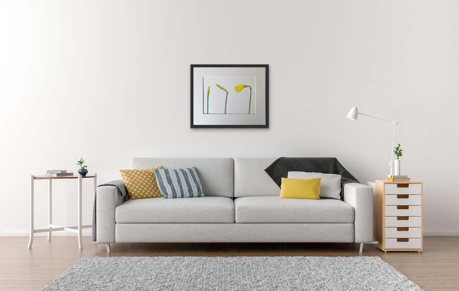 Daffodils watercolour by Mark Azopardi - Natalia Willmott