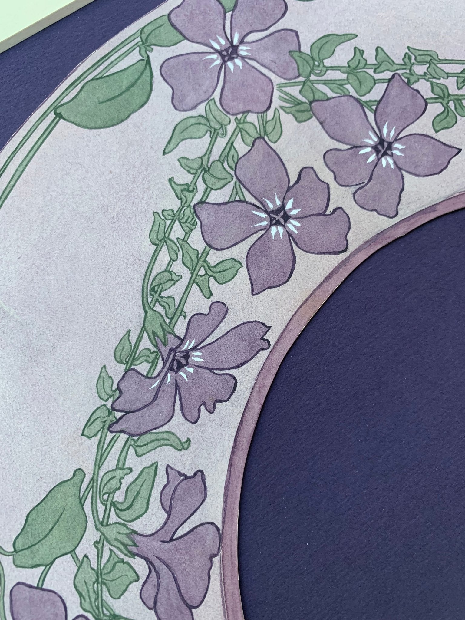 Design for a fan purple clematis by Hilda Clegg - Natalia Willmott
