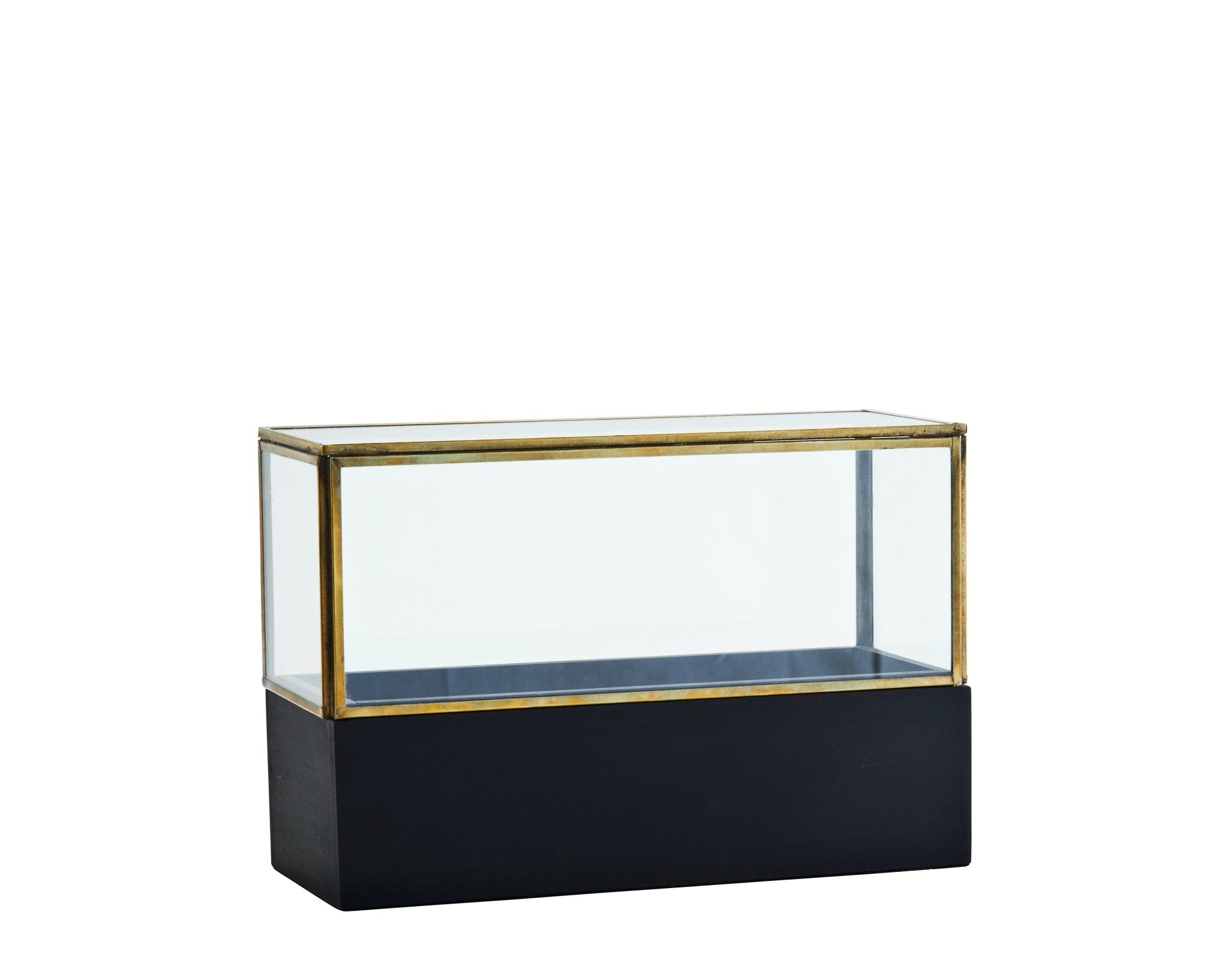 Glass box with a wooden base - Natalia Willmott