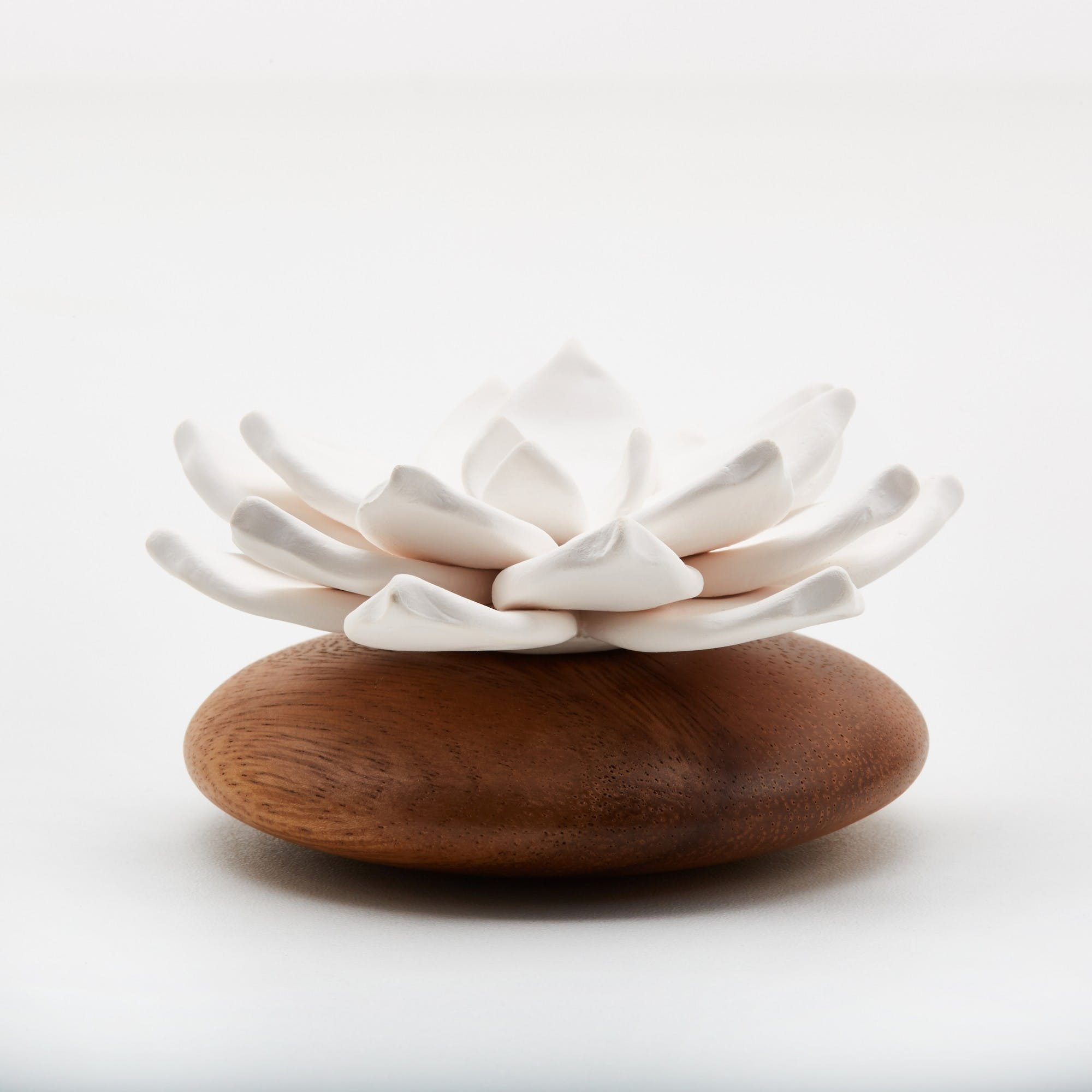 Lotus diffuser - Natalia Willmott