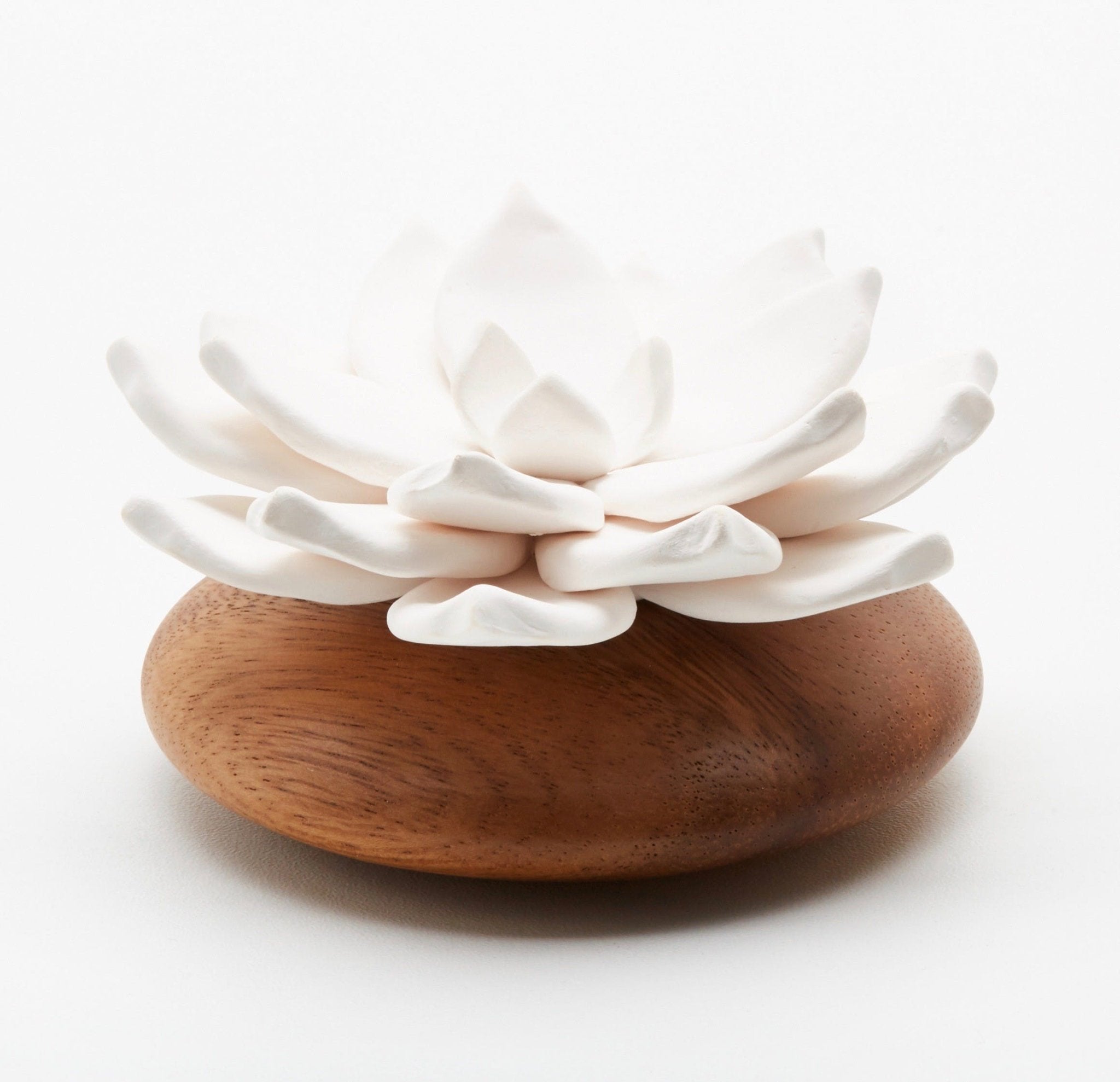 Lotus diffuser - Natalia Willmott