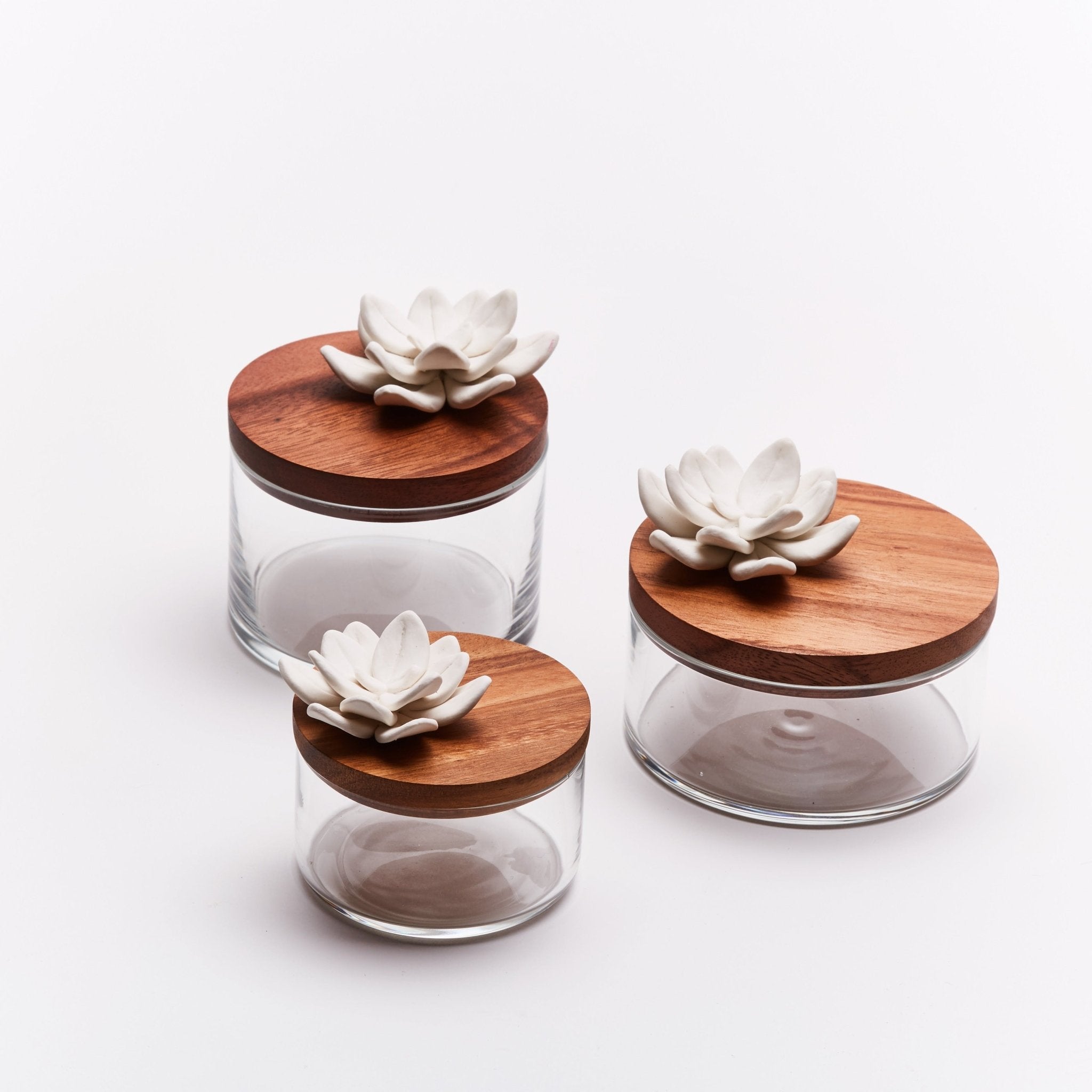 Lotus Diffuser box in Acacia wood and glass small - Natalia Willmott
