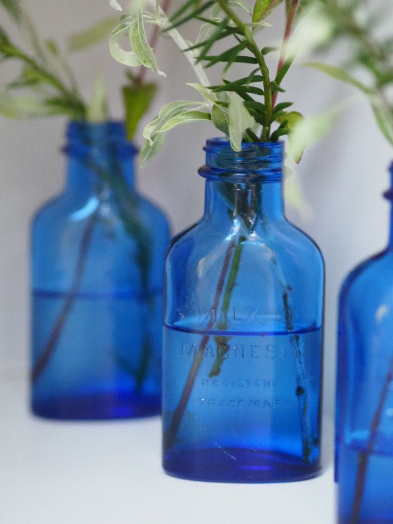Mid century milk of Magnesia cobalt blue pair of bottles - Natalia Willmott