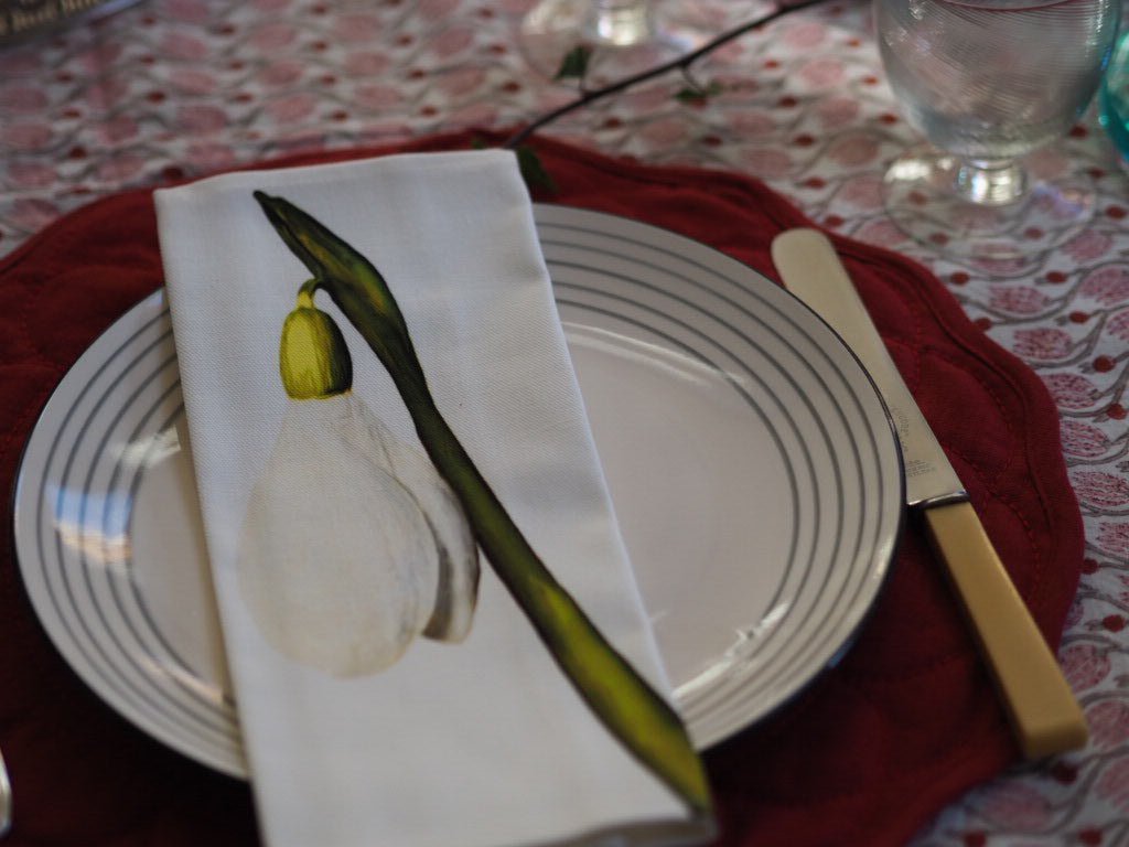 Mirra Ruby set of 4 placemats - Natalia Willmott