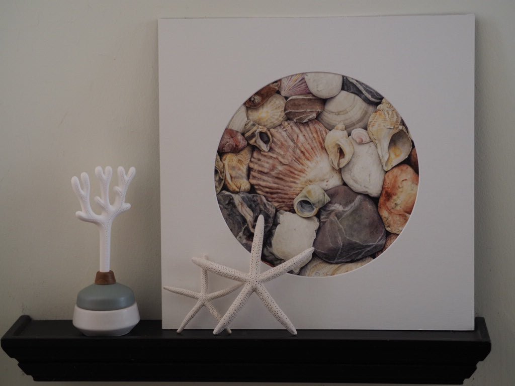 Pink shells giclee print by Mark Azopardi - Natalia Willmott