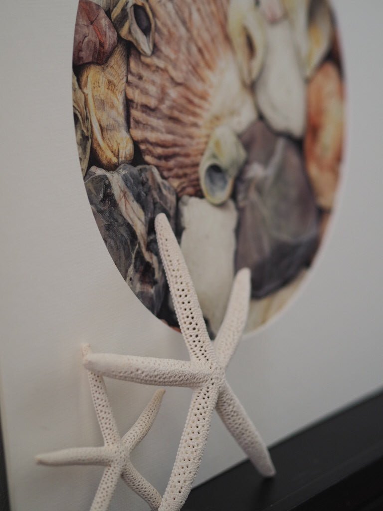 Pink shells giclee print by Mark Azopardi - Natalia Willmott