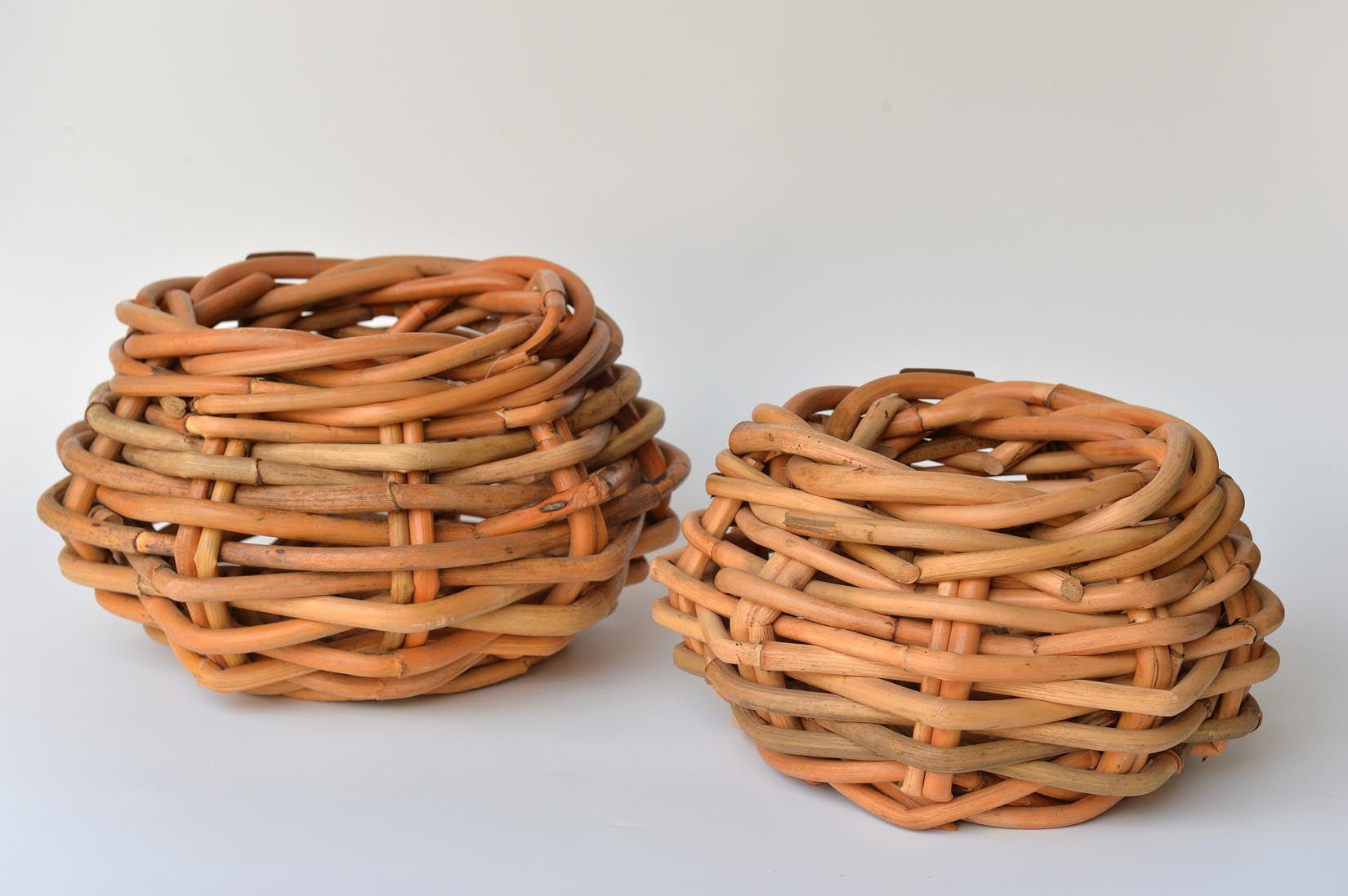 Planters - Natalia Willmott