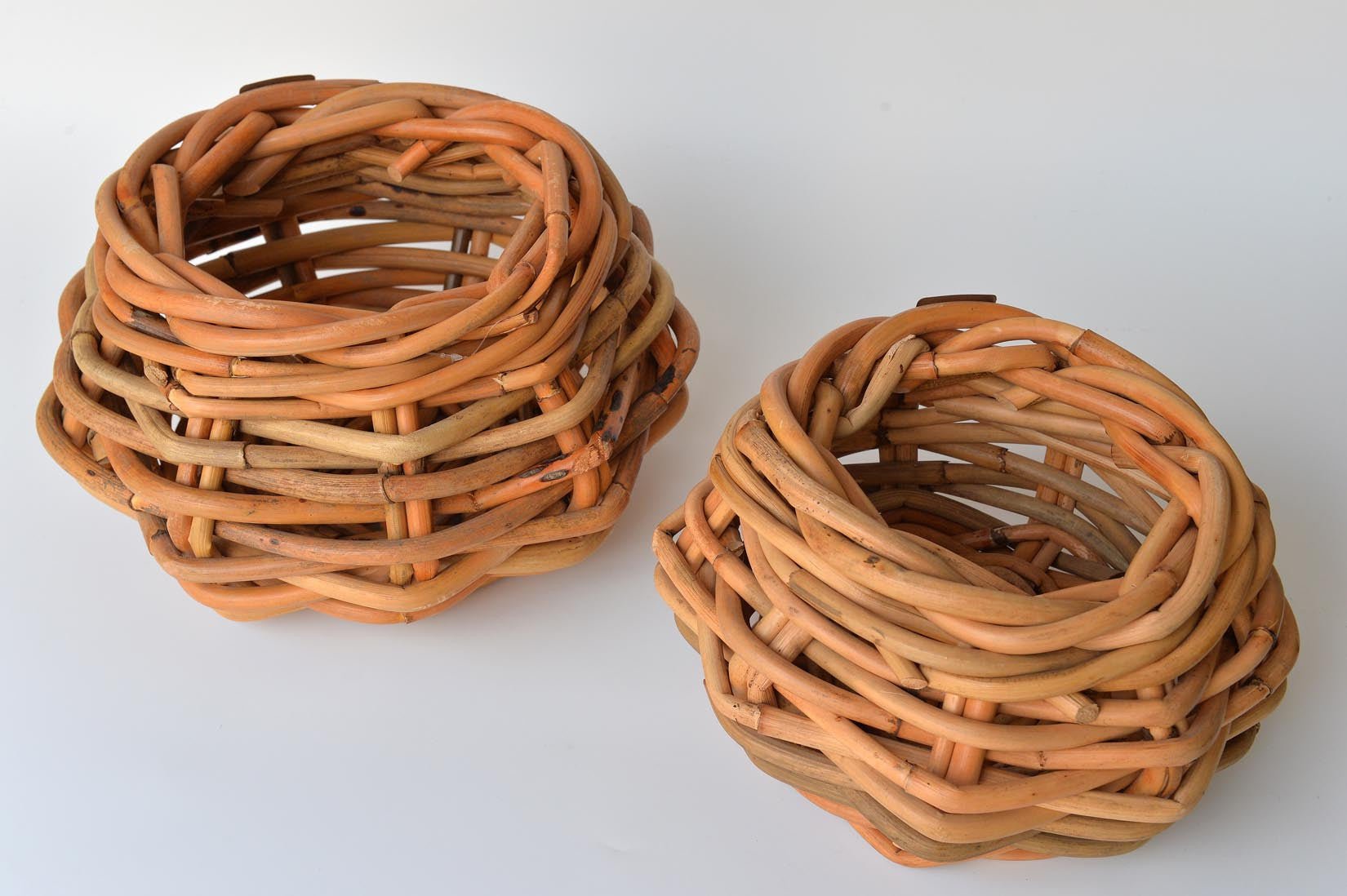 Planters - Natalia Willmott