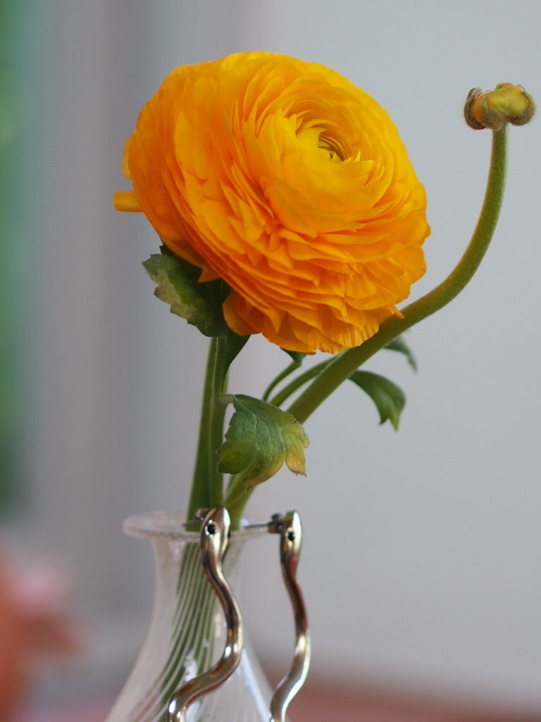 Sphinx snake vintage earrings - Natalia Willmott