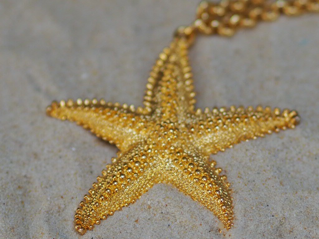 Starfish drop chain necklace - Natalia Willmott