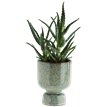 Stoneware flower pot - Natalia Willmott