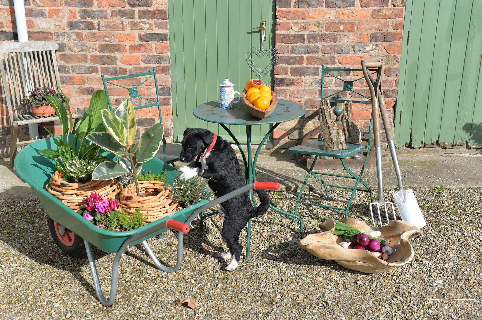 Teakroot boat shaped bowl - Natalia Willmott