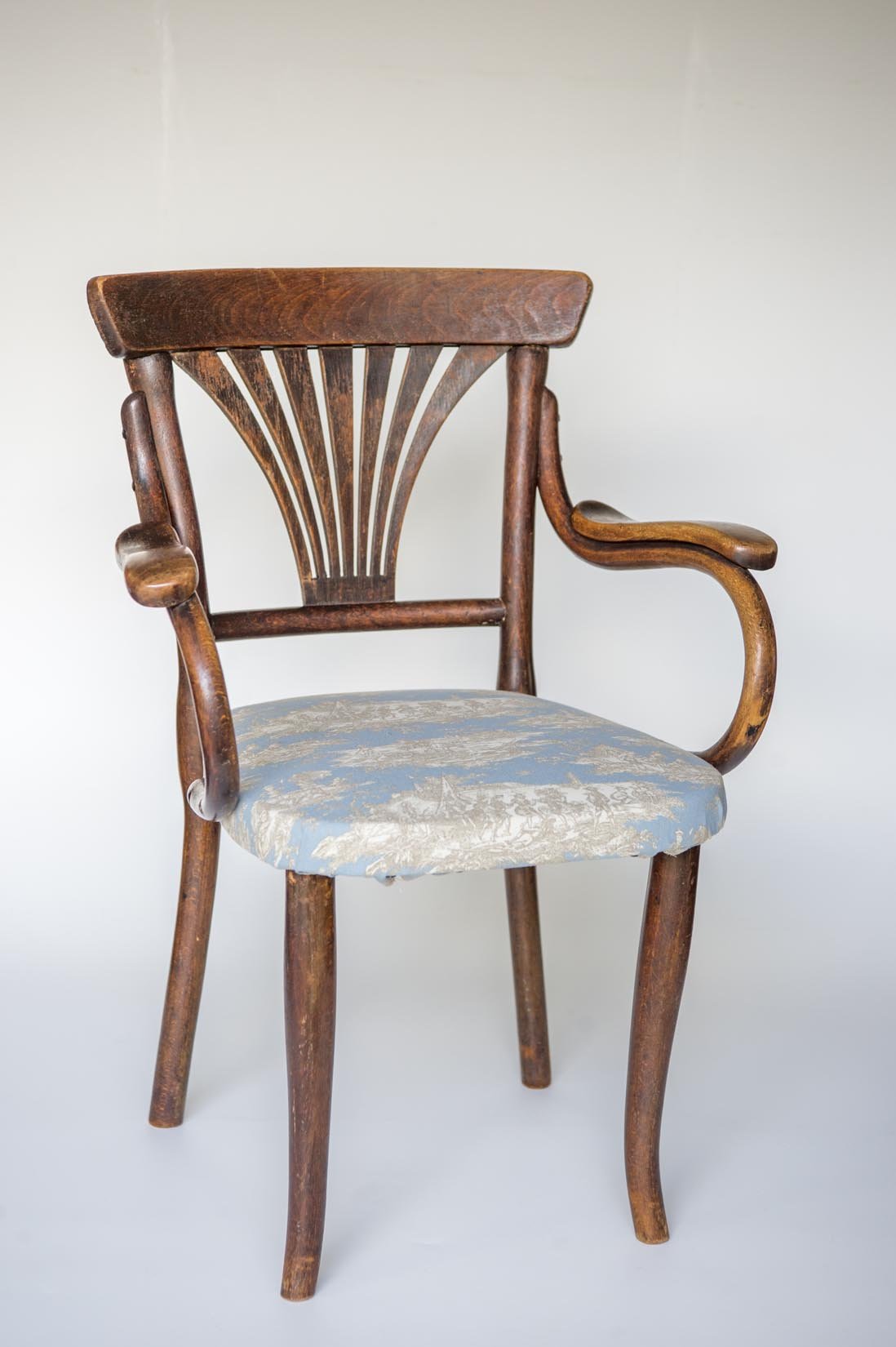 Toile de Jouy-light blue - Natalia Willmott