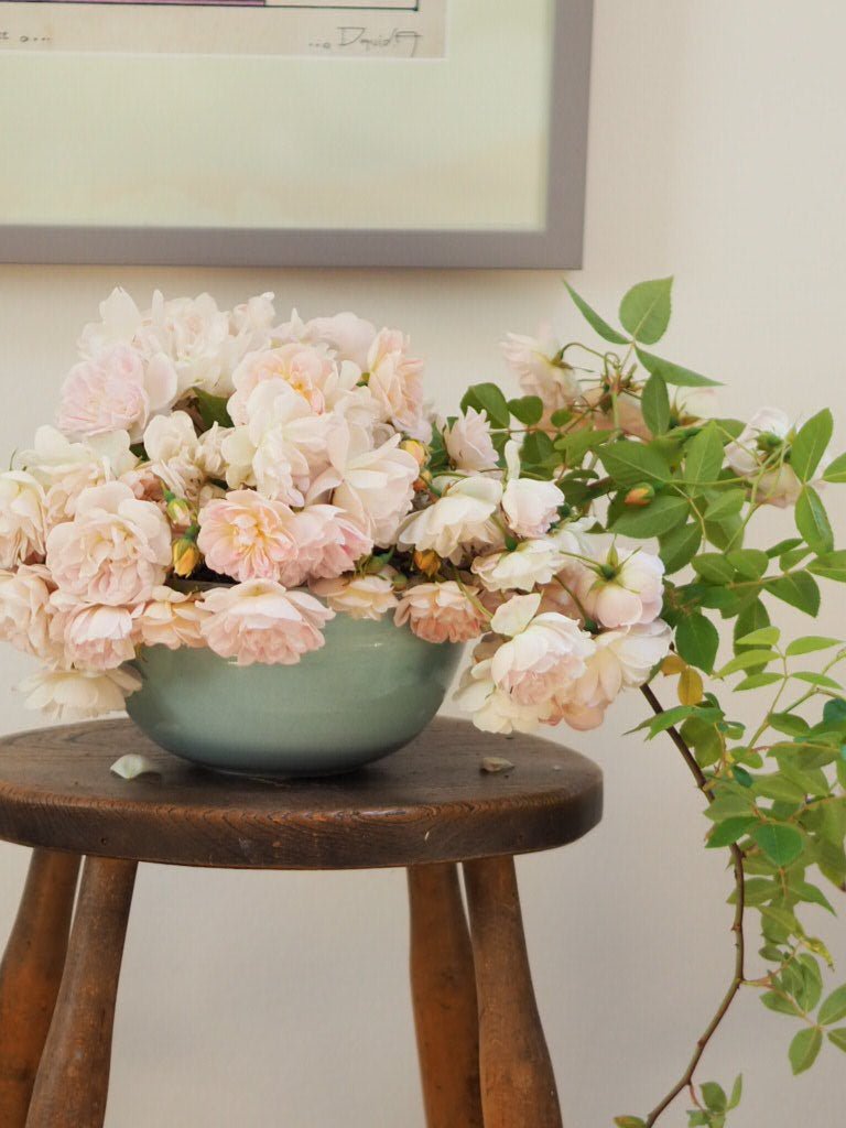 Turquoise ceramic stoneware bowl by Jane Schaffer - Natalia Willmott