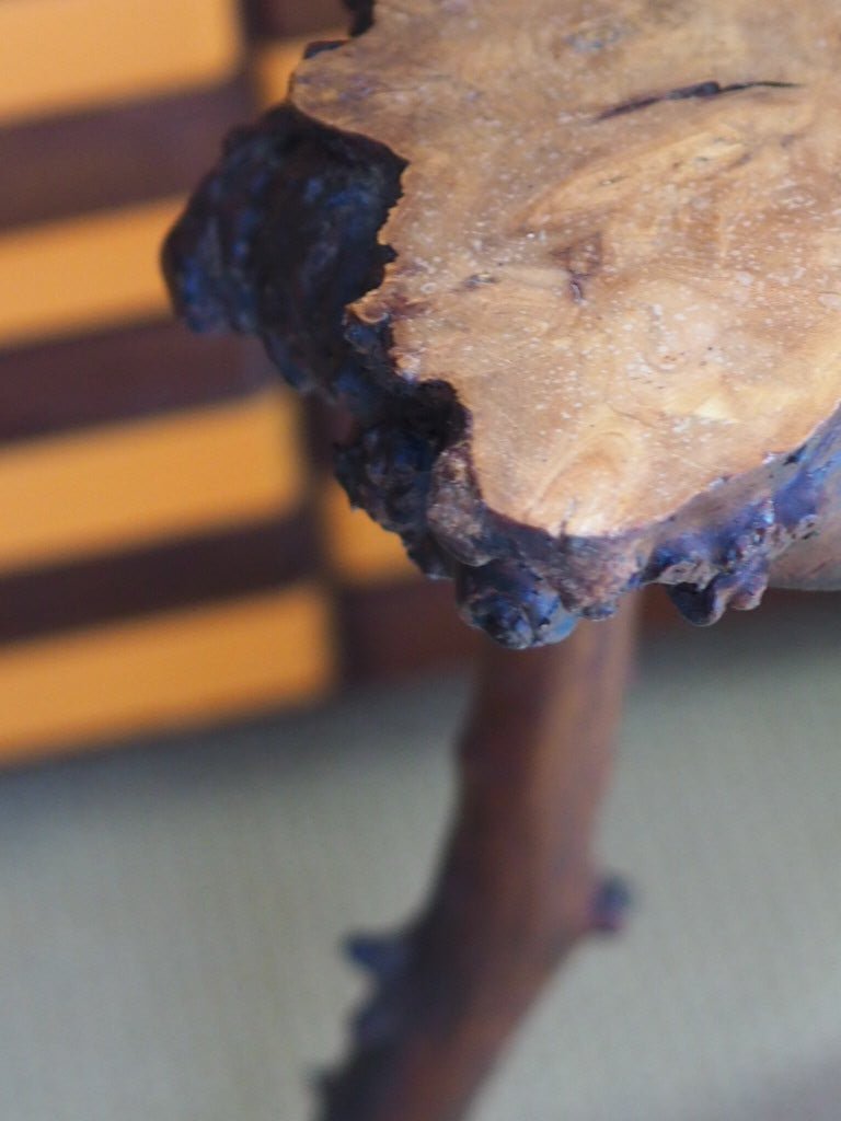 vintage Burwood Yew stool - Natalia Willmott
