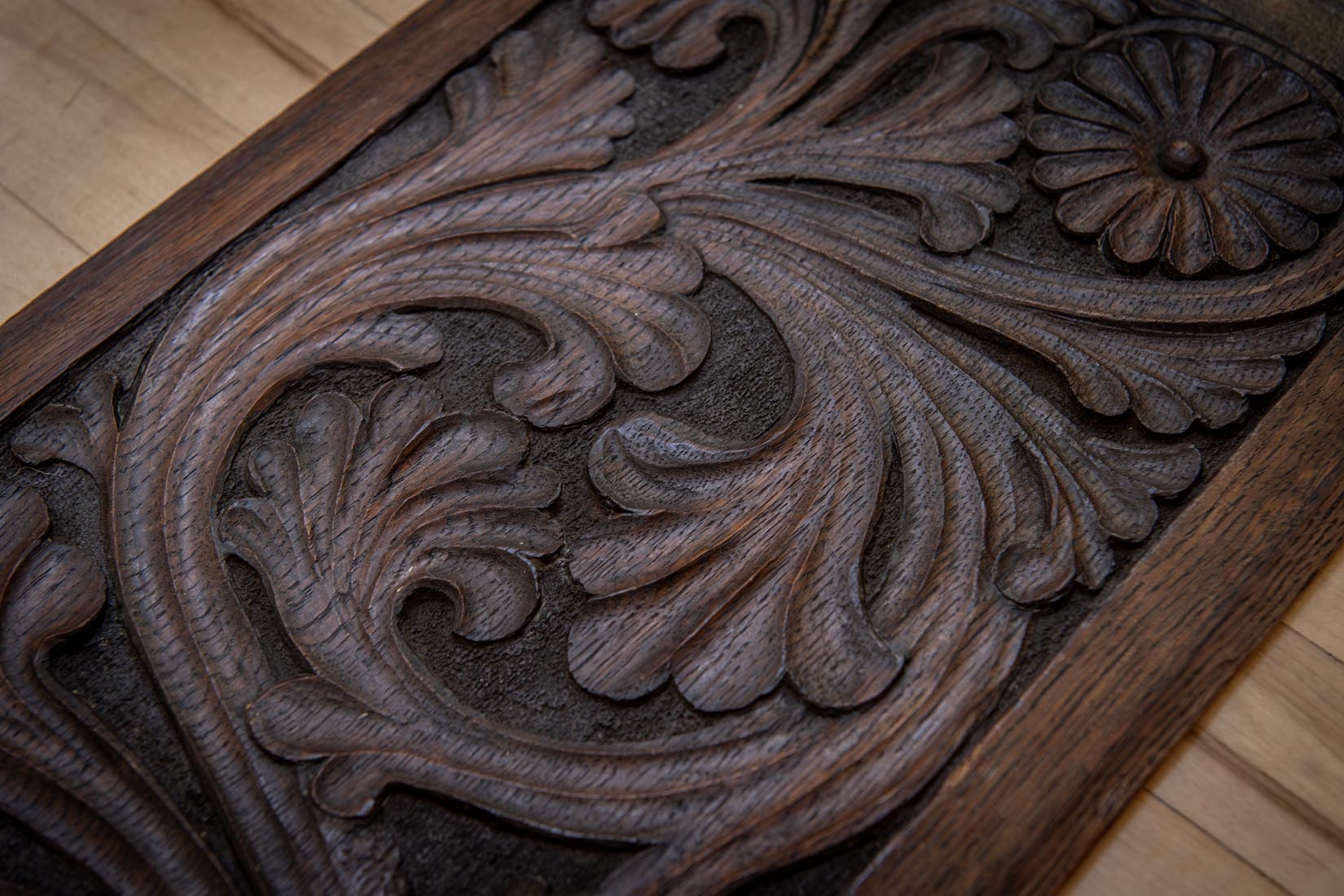 19th-Century Carved Oak Panel with Griffins and Acanthus - Natalia Willmott