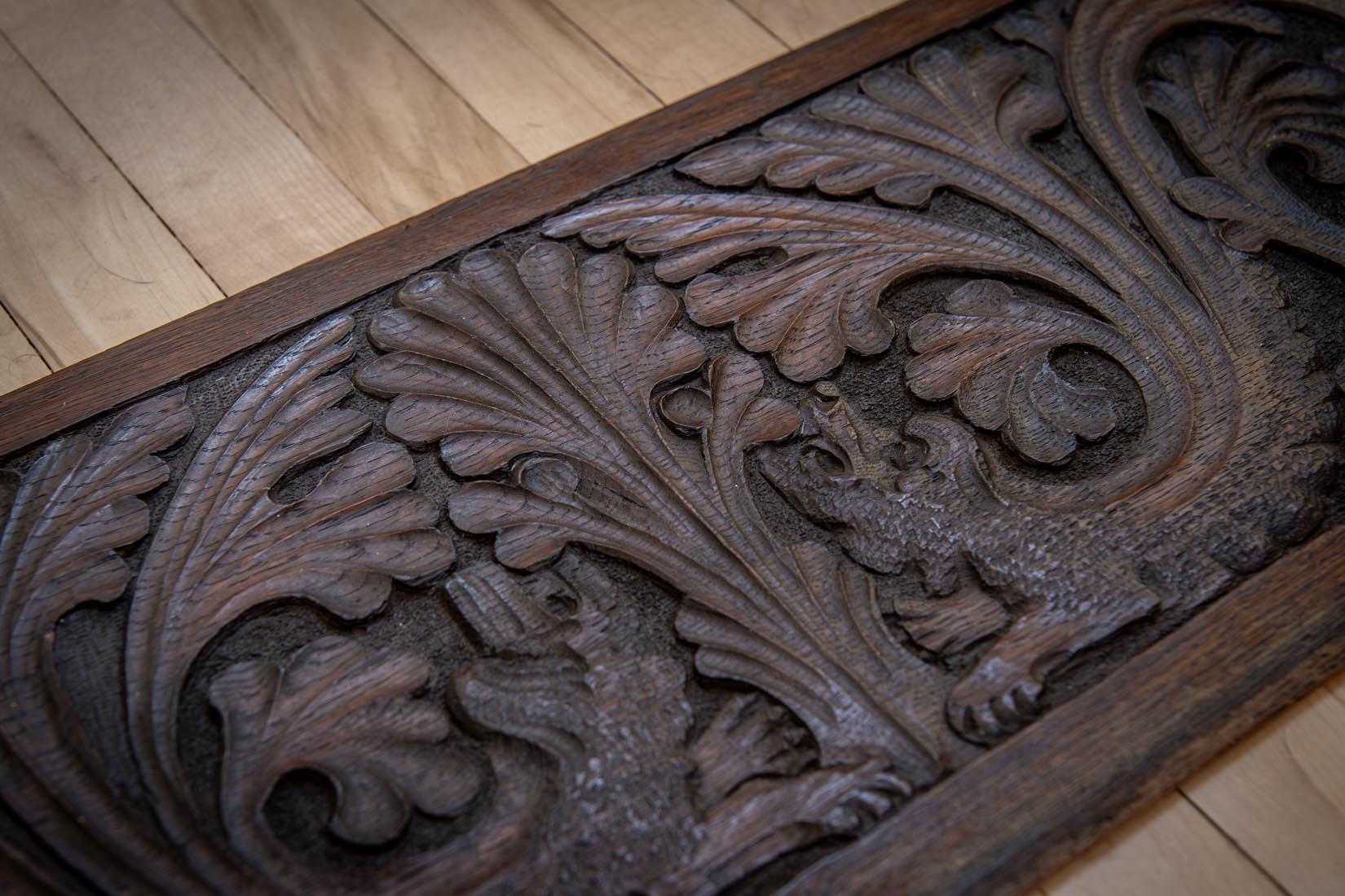 19th-Century Carved Oak Panel with Griffins and Acanthus - Natalia Willmott
