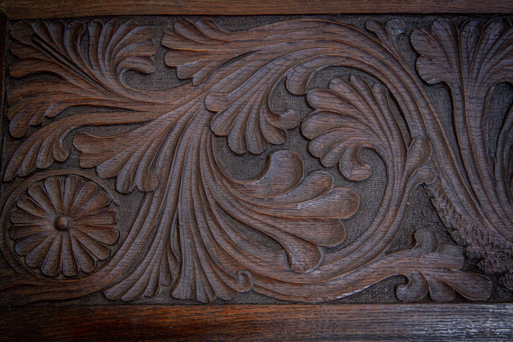 19th-Century Carved Oak Panel with Griffins and Acanthus - Natalia Willmott