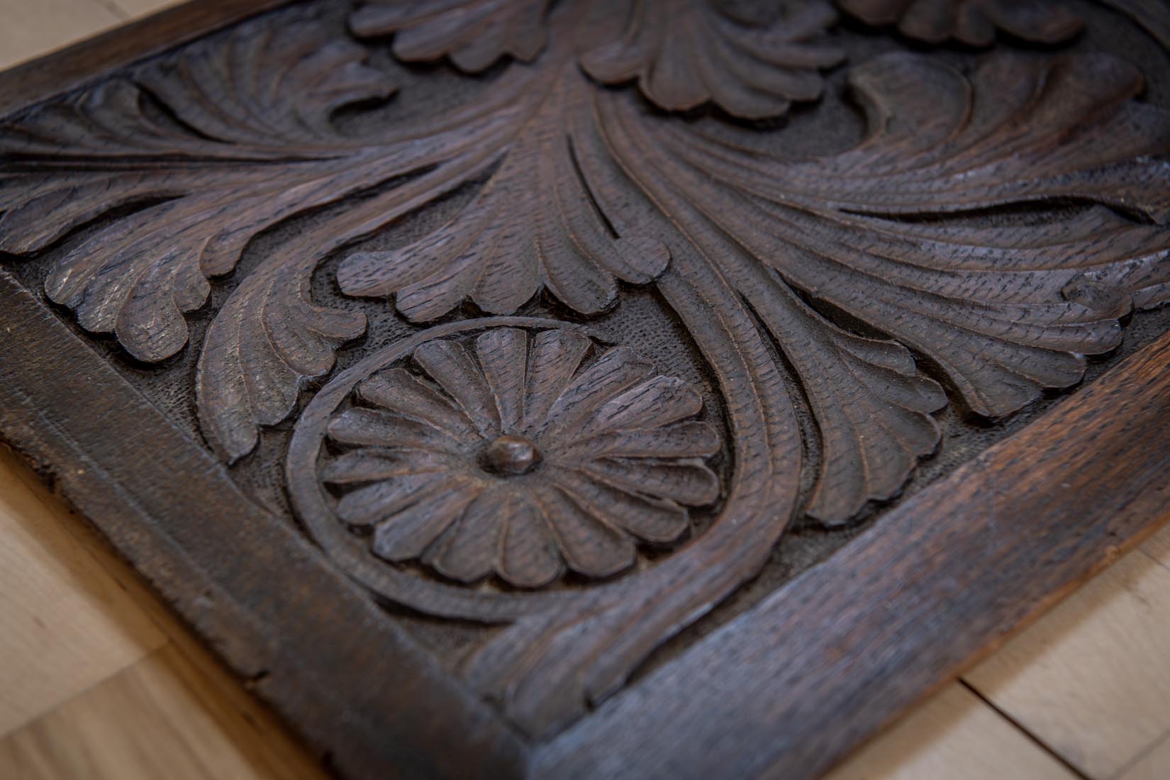 19th-Century Carved Oak Panel with Griffins and Acanthus - Natalia Willmott