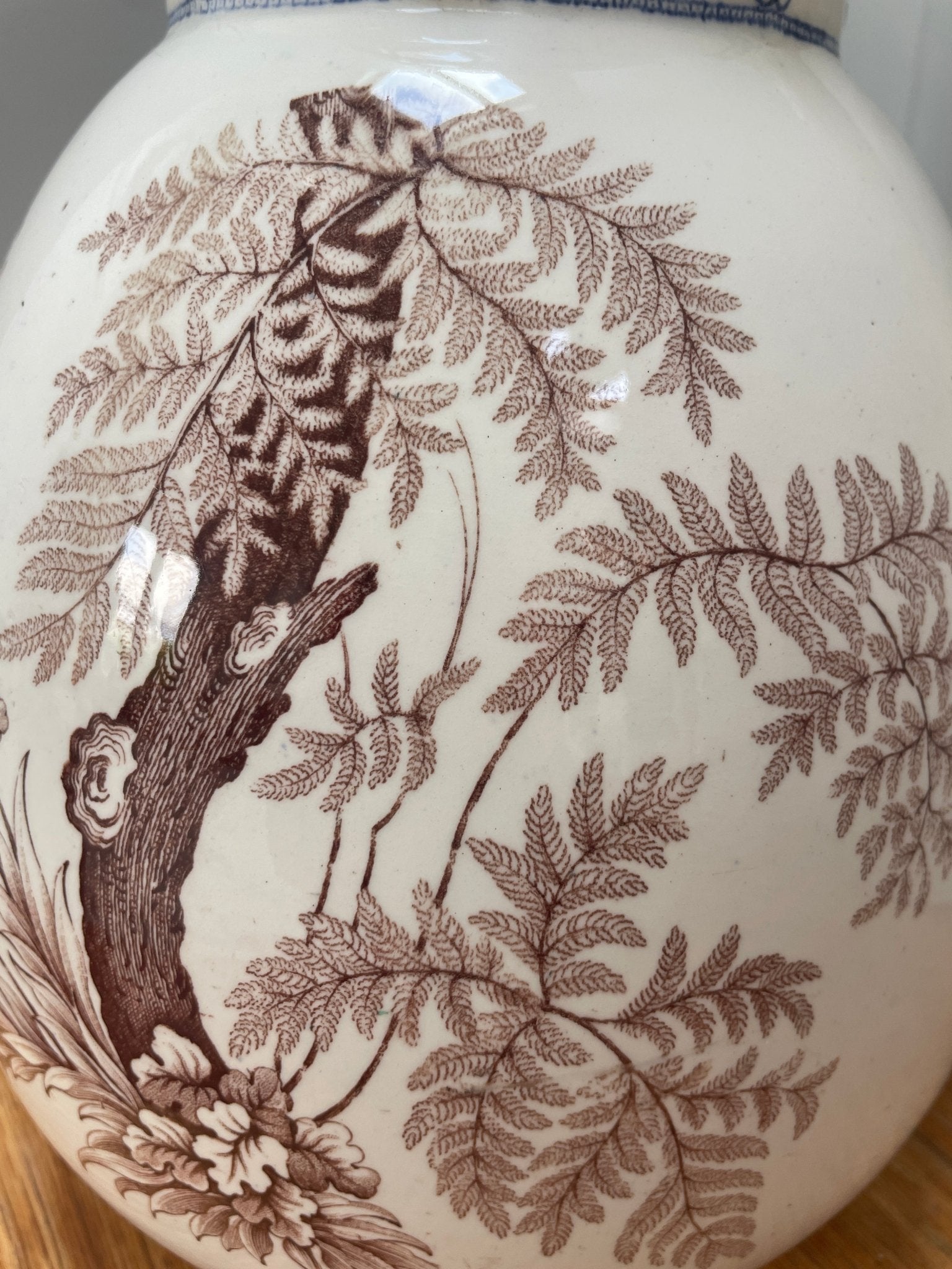 Antique Davenport oak jug - Natalia Willmott