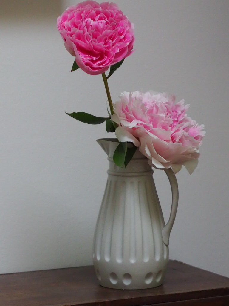 Antique Relief moulded jug Charles Meigh & Son Fluted design - Natalia Willmott
