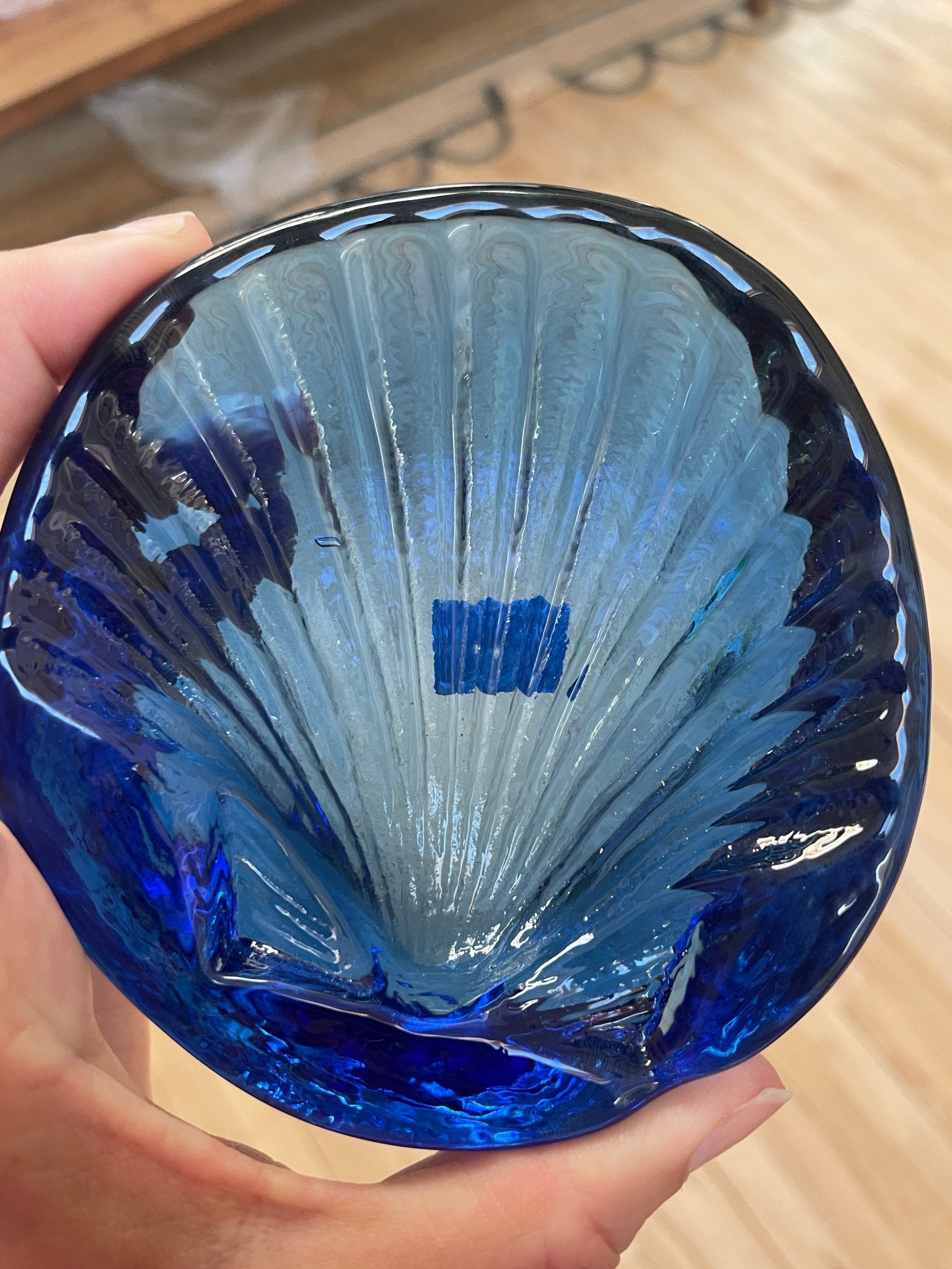 Art glass ammonite and shell - Natalia Willmott