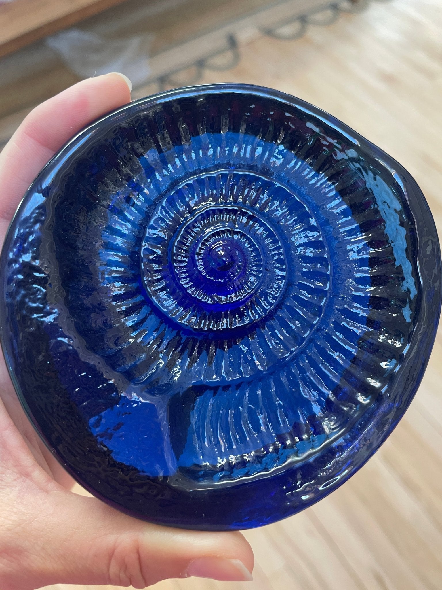 Art glass ammonite and shell - Natalia Willmott