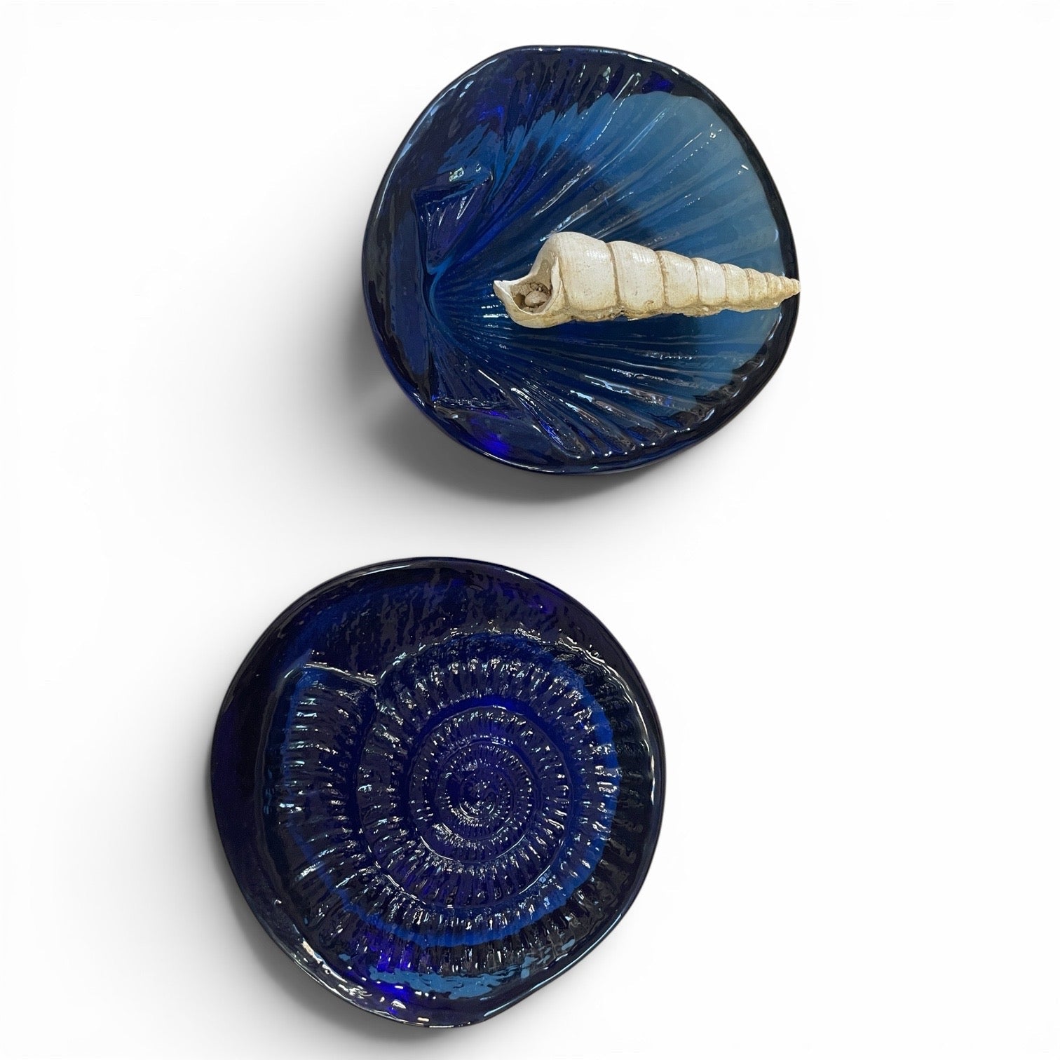 Art glass ammonite and shell - Natalia Willmott