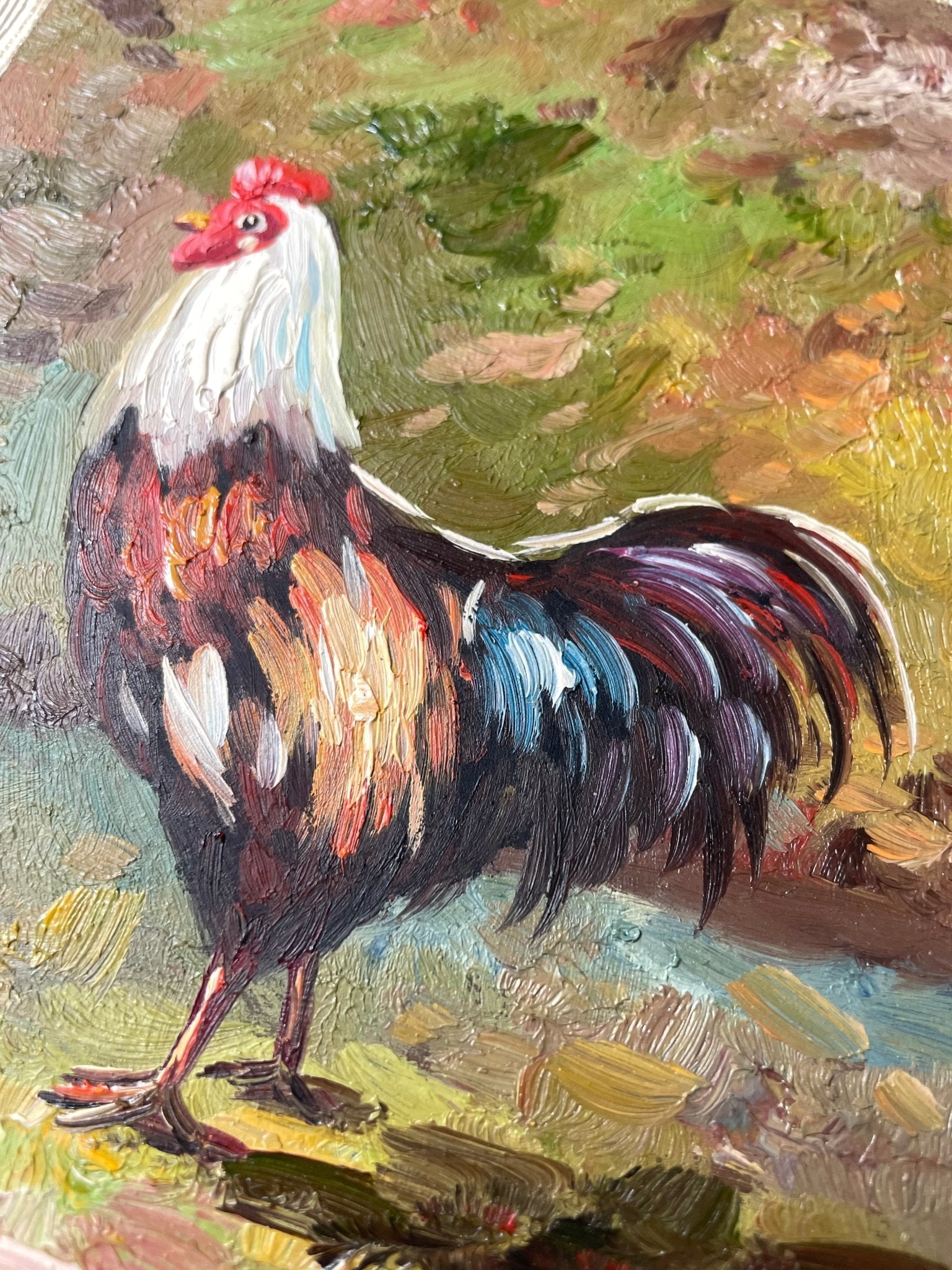 "Chicken" oil painting - Natalia Willmott
