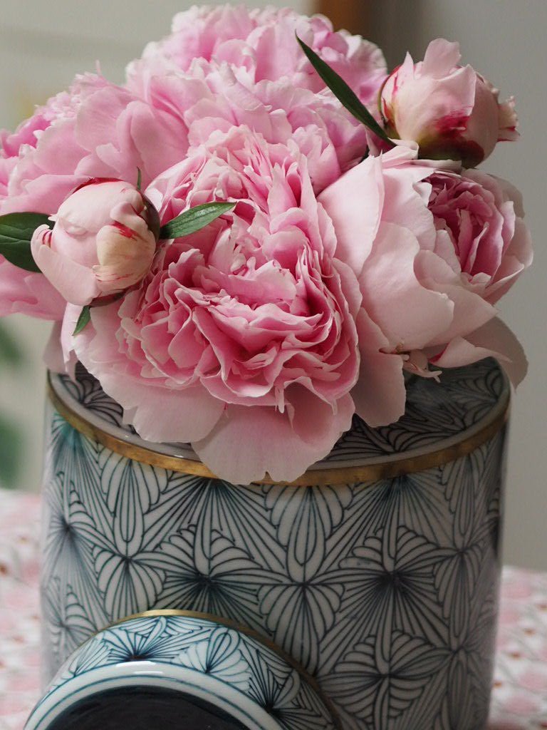 Contemporary jar with optical design - Natalia Willmott