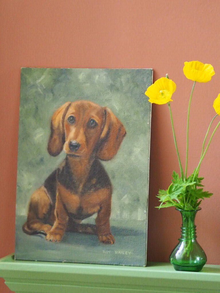 Dachshund portrait - Natalia Willmott