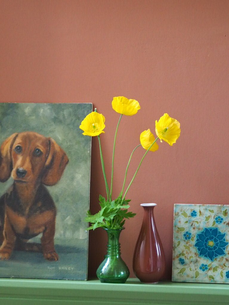 Dachshund portrait - Natalia Willmott