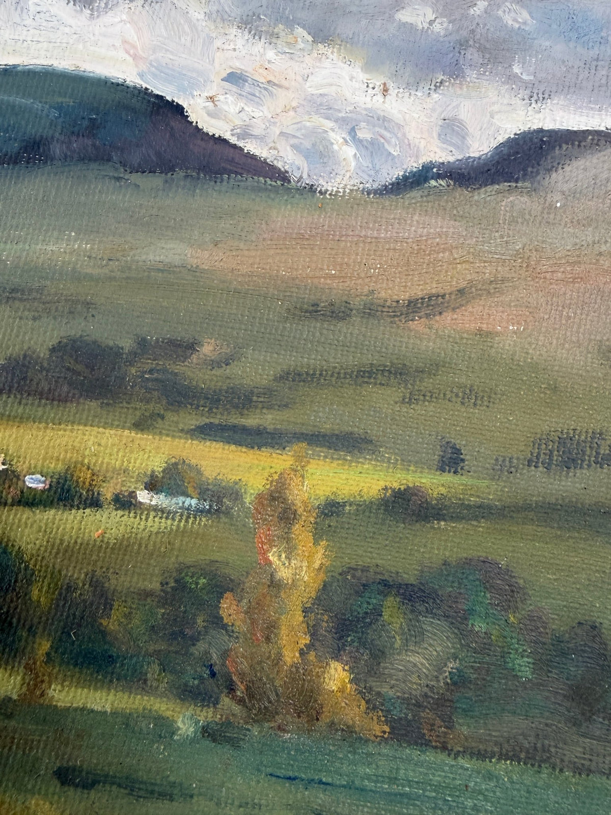 Edale valley oil painting by Chris Slater - Natalia Willmott